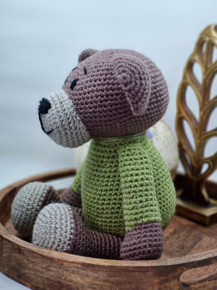 Bear - green jumper 2