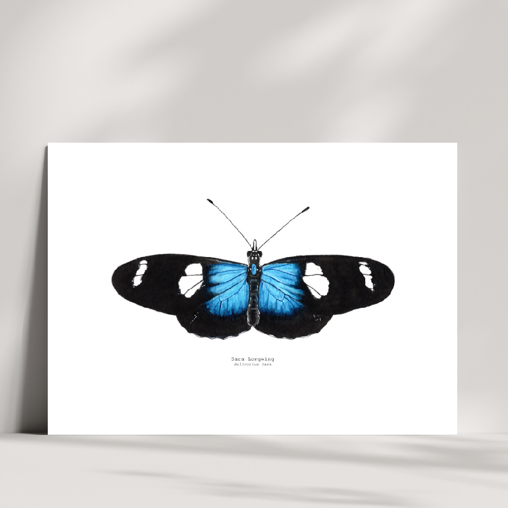 the fauna series - sara longwing butterfly