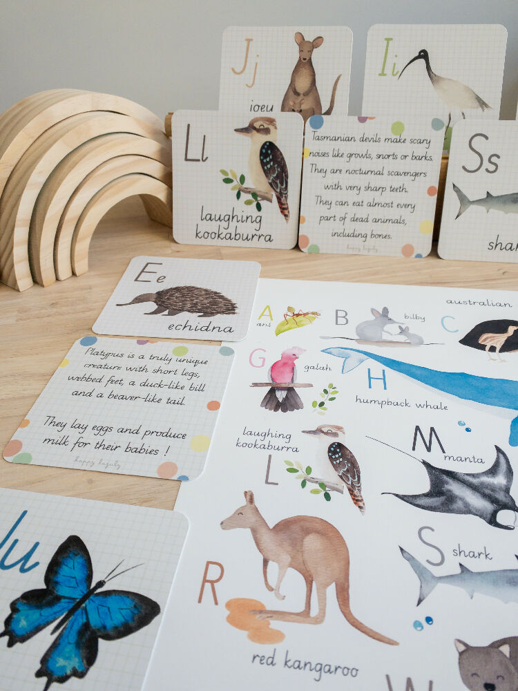 Educational Flashcards - Alphabet native australian animals@happylazuly4