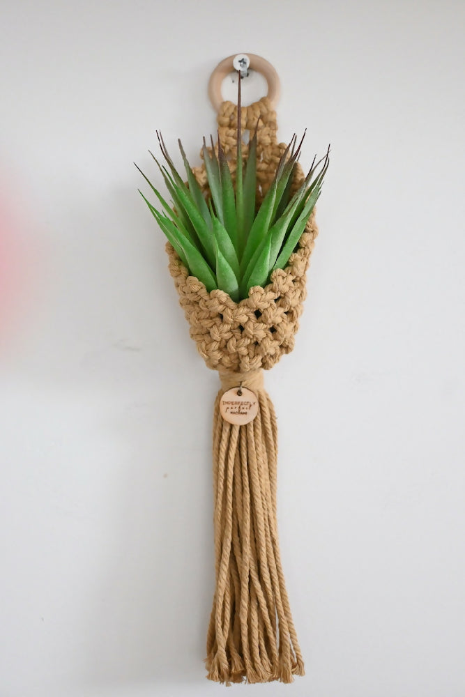 Macrame Faux Plant Holder/Air plant Pod