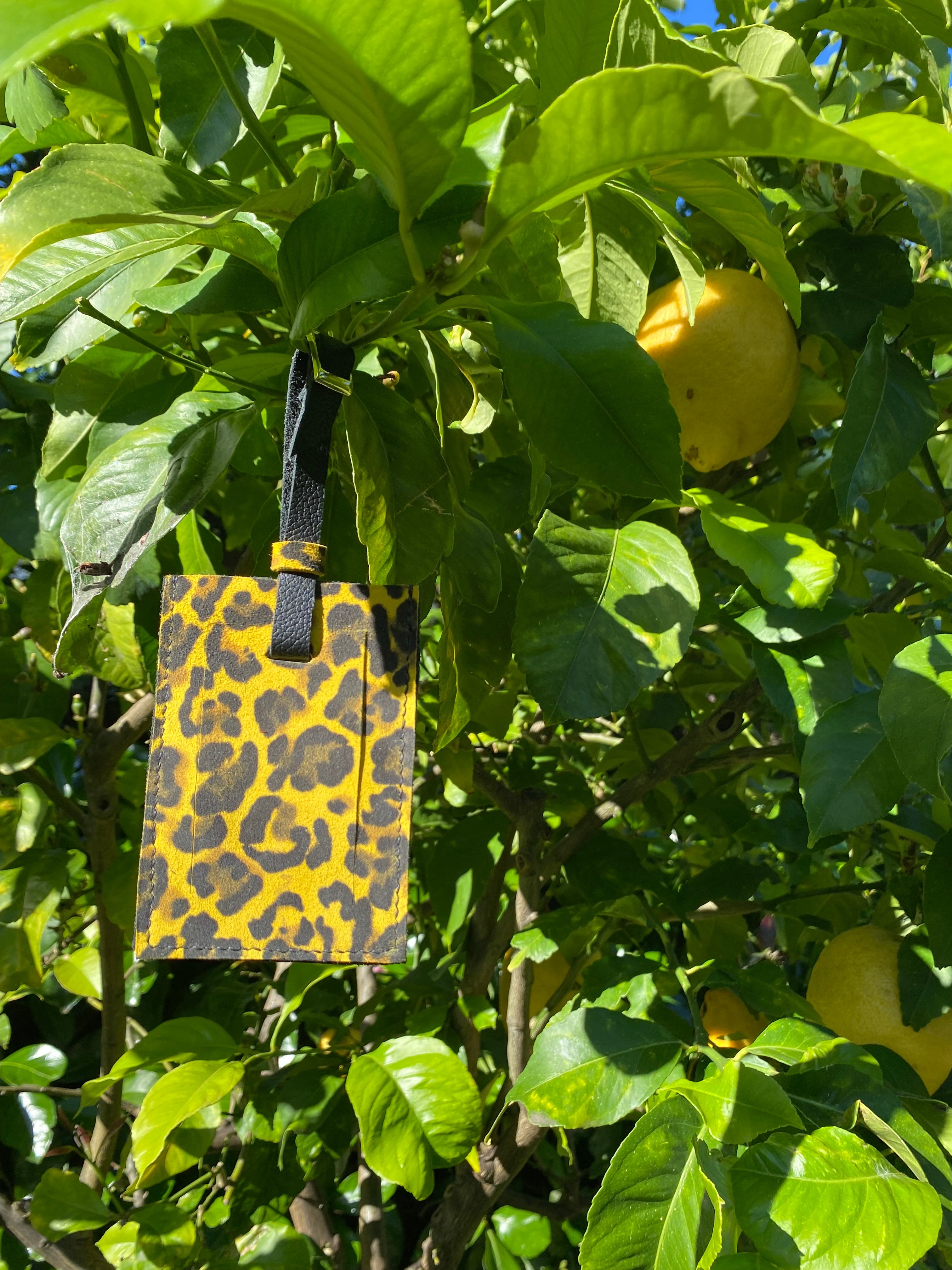 Leather luggage tags