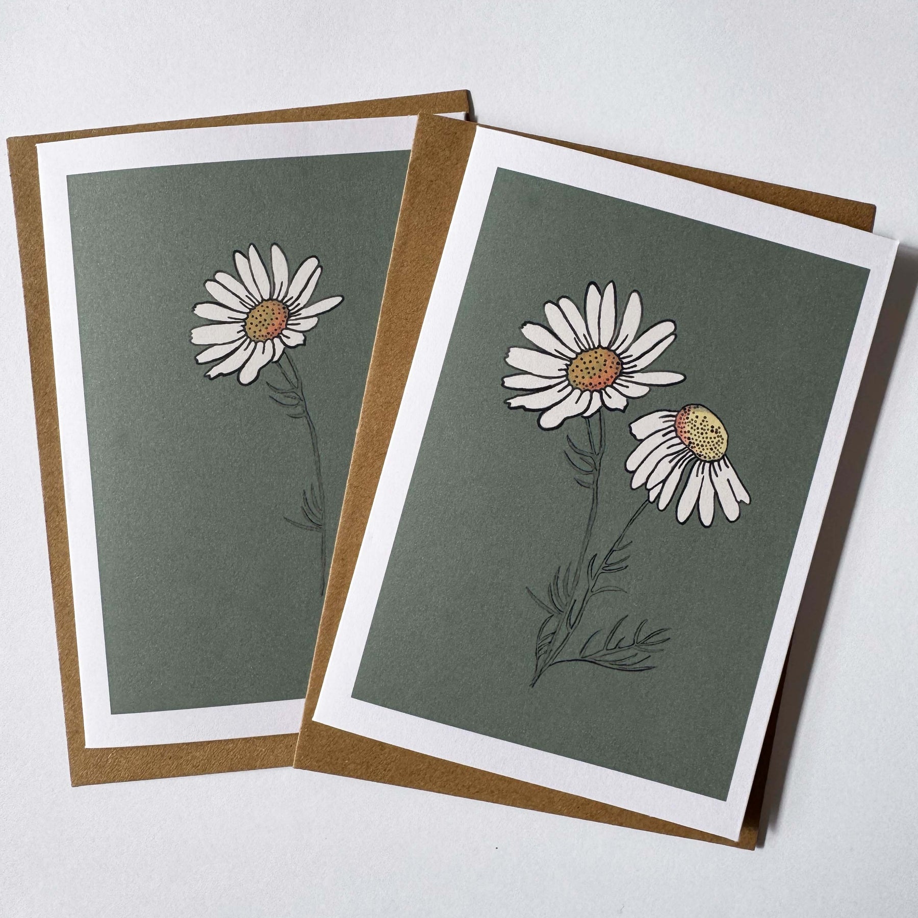 Daisy Greeting Card Set: Hand-Drawn Floral Design, recycled card and envelope.