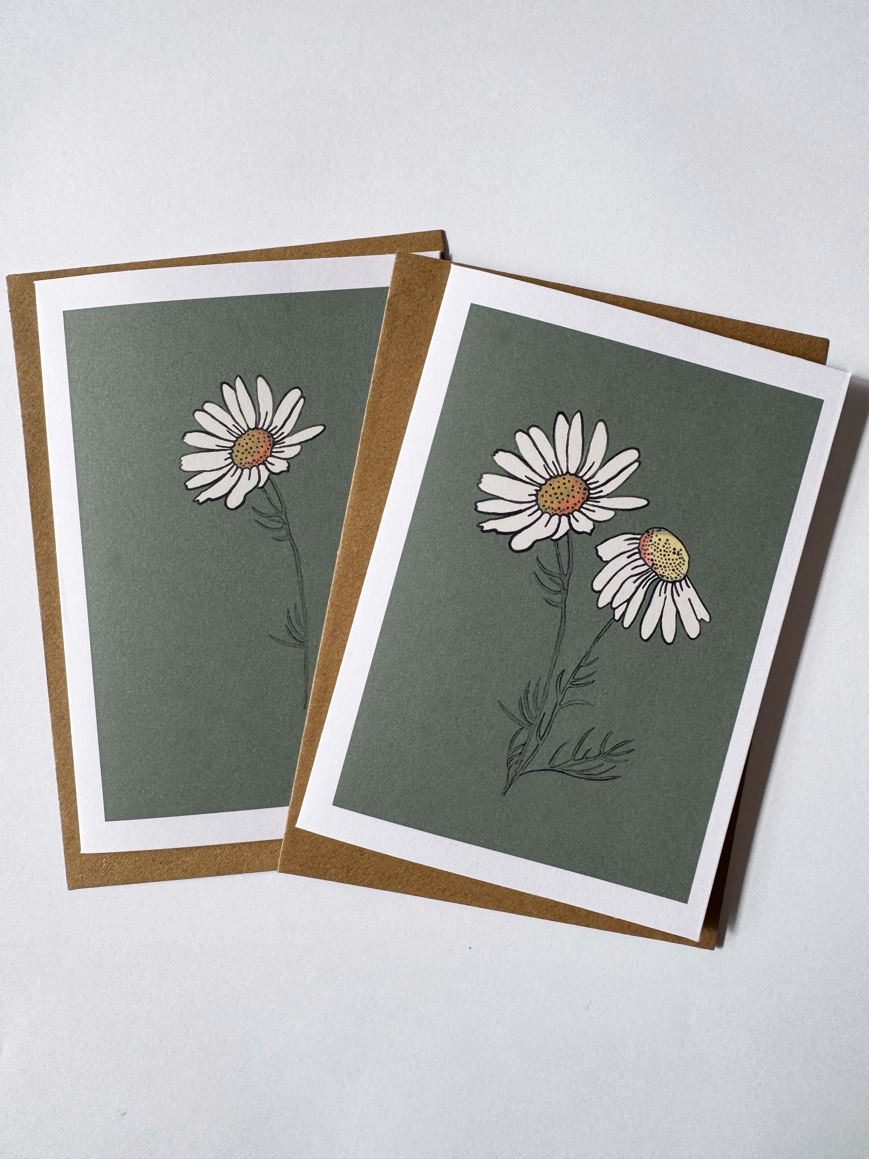 Daisy Greeting Card Set: Hand-Drawn Floral Design, recycled card and envelope.
