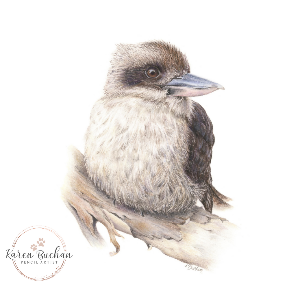 Australian-artist-wall-art-kookaburra-print-closeup