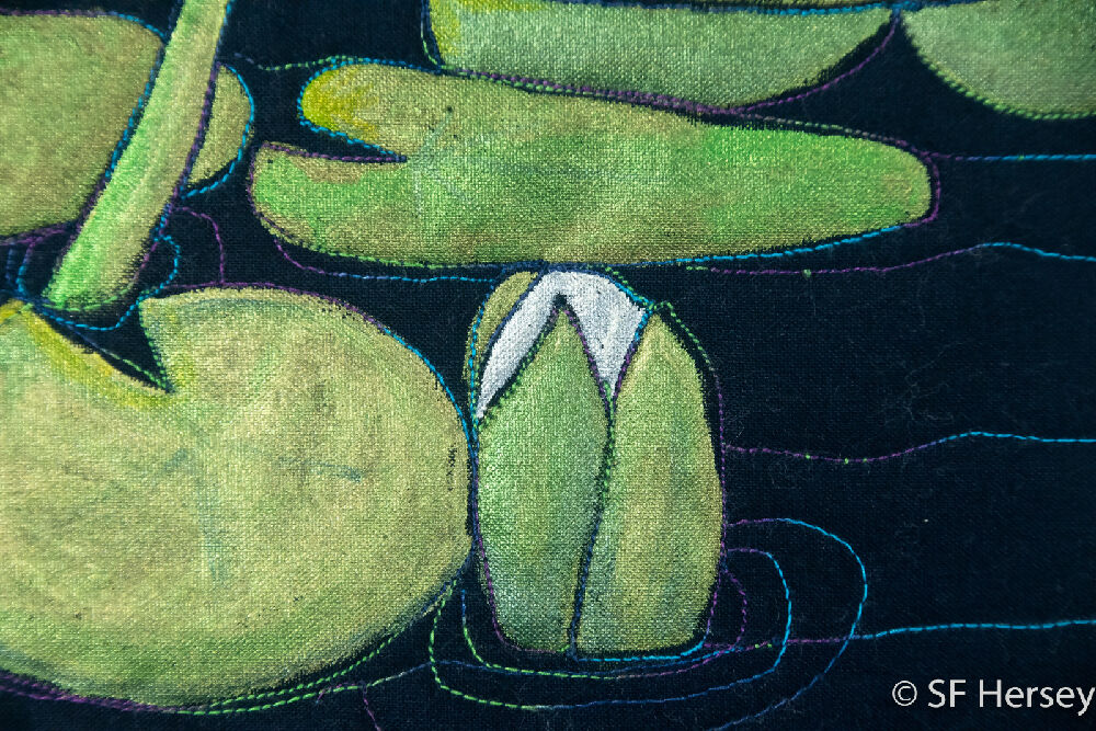 20250427-IMGA9371