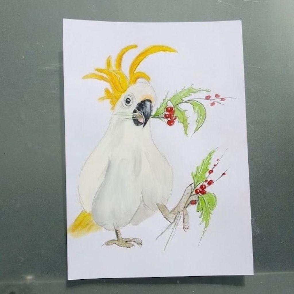 Quirky Bird Christmas Cards - 6 designs