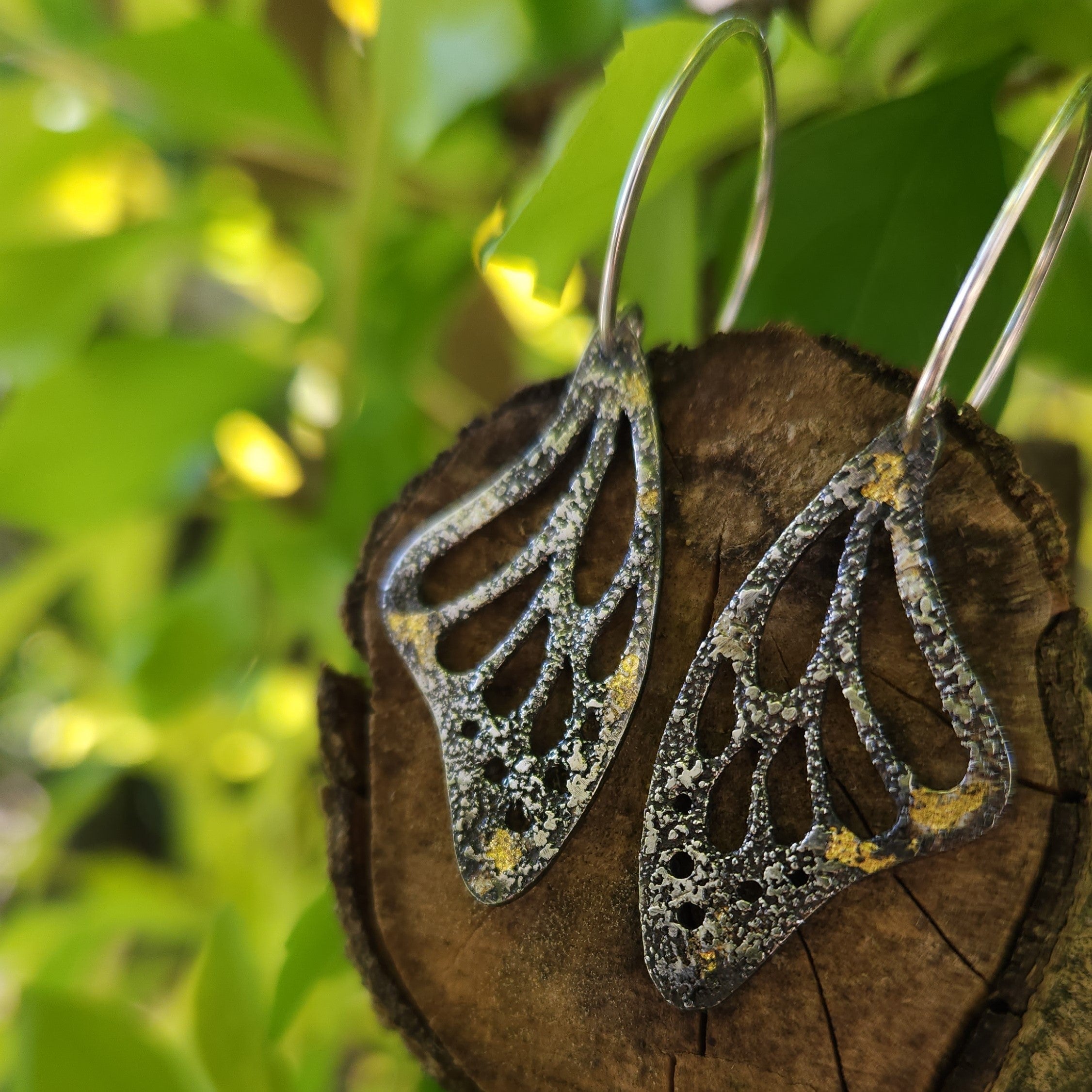 Sunrise wings