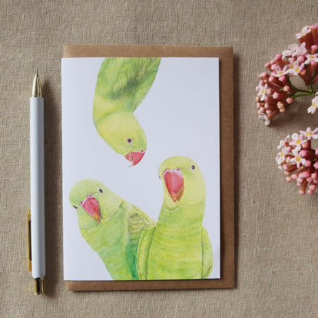 Indian ringneck greeting card. Blank inside.