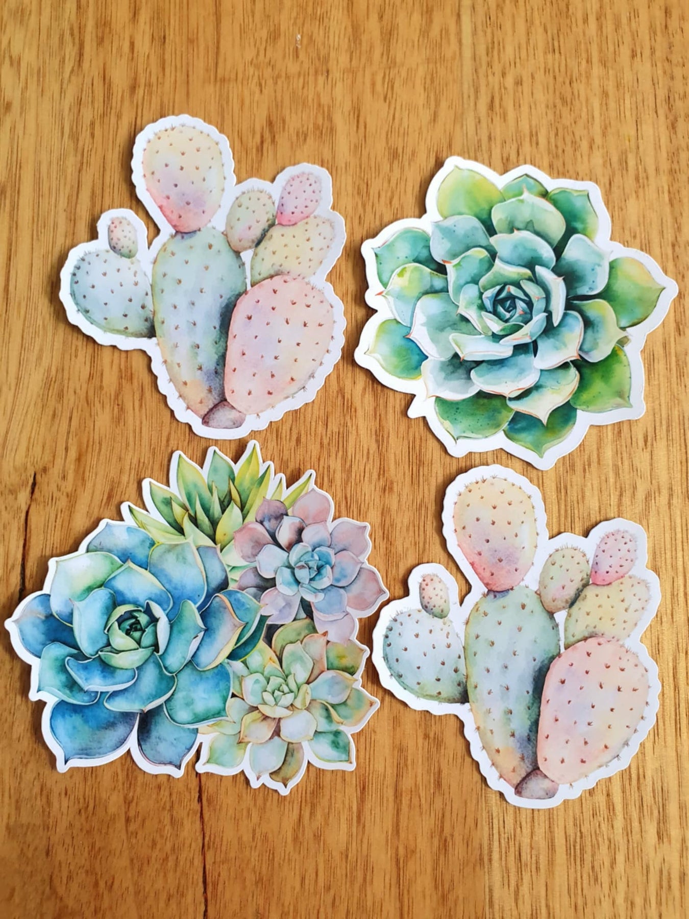 Succulent stickers - 4 set