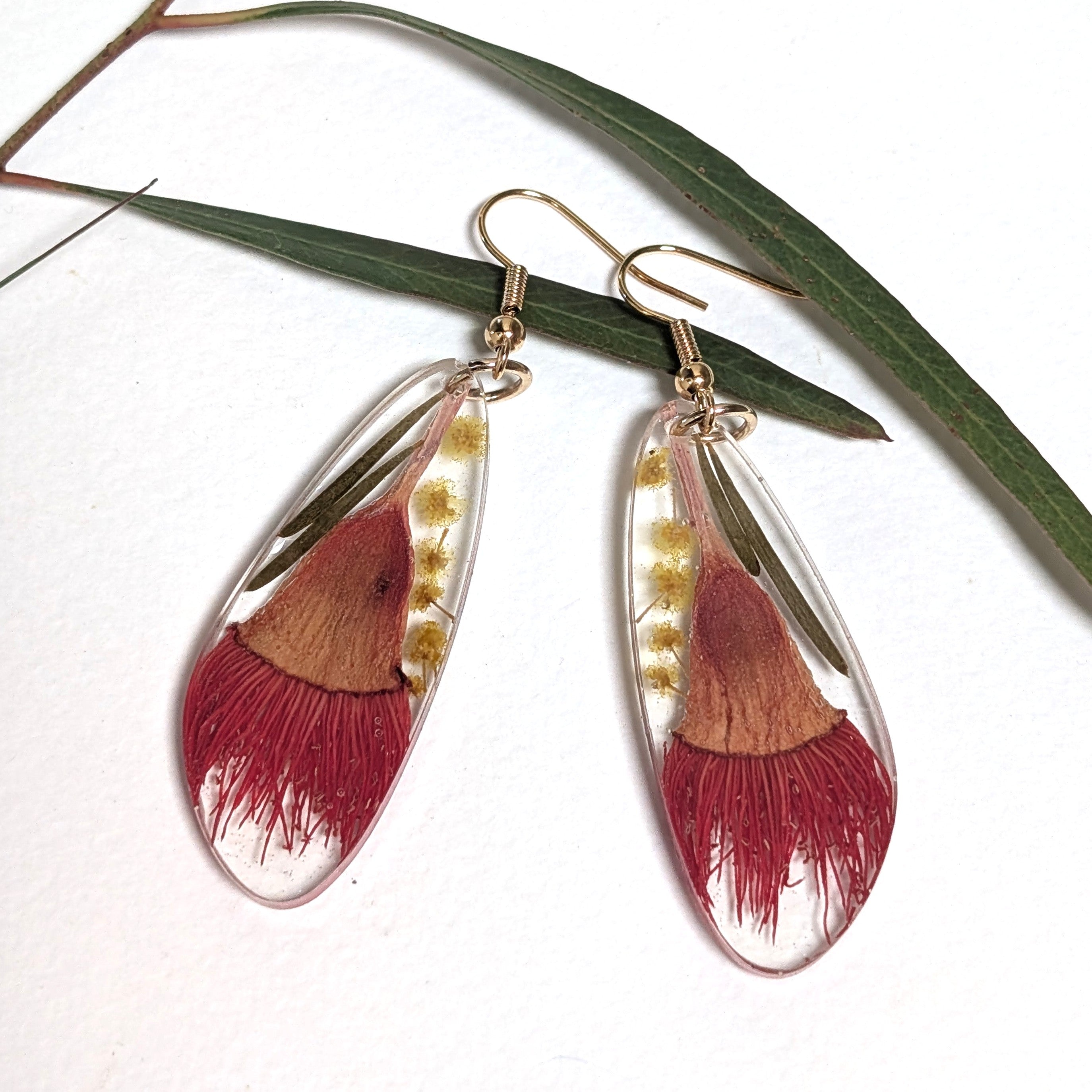 Flowering gum and wattle dangles