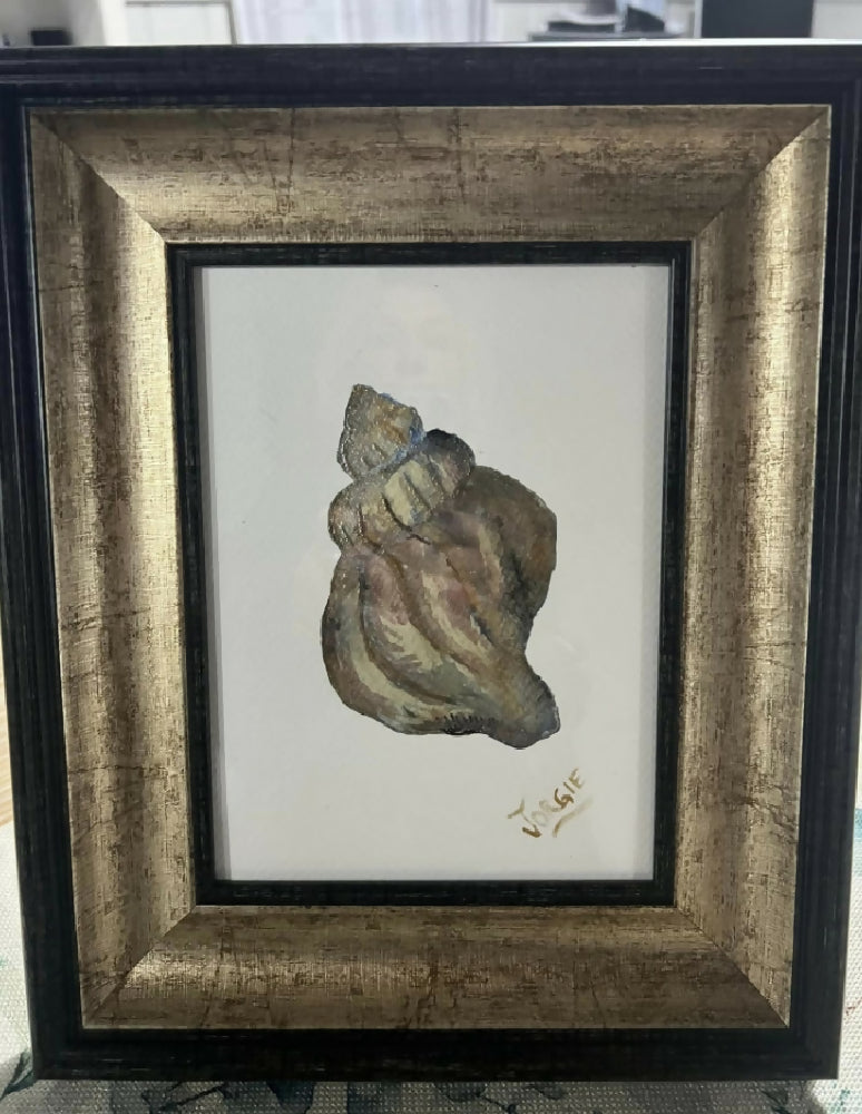 Small Watrcolor Painting of a classic Shell