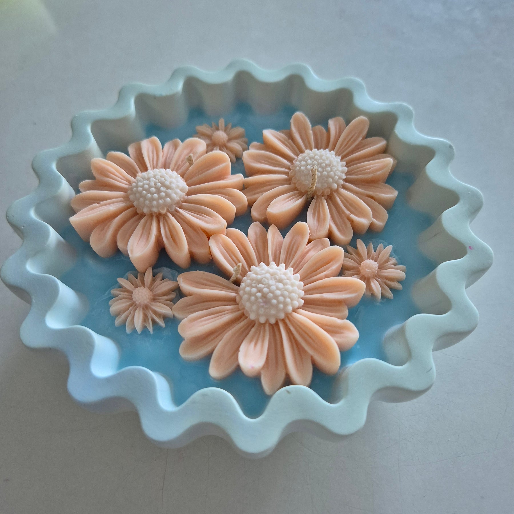 Blue and peach eco-concrete daisy bowl candle
