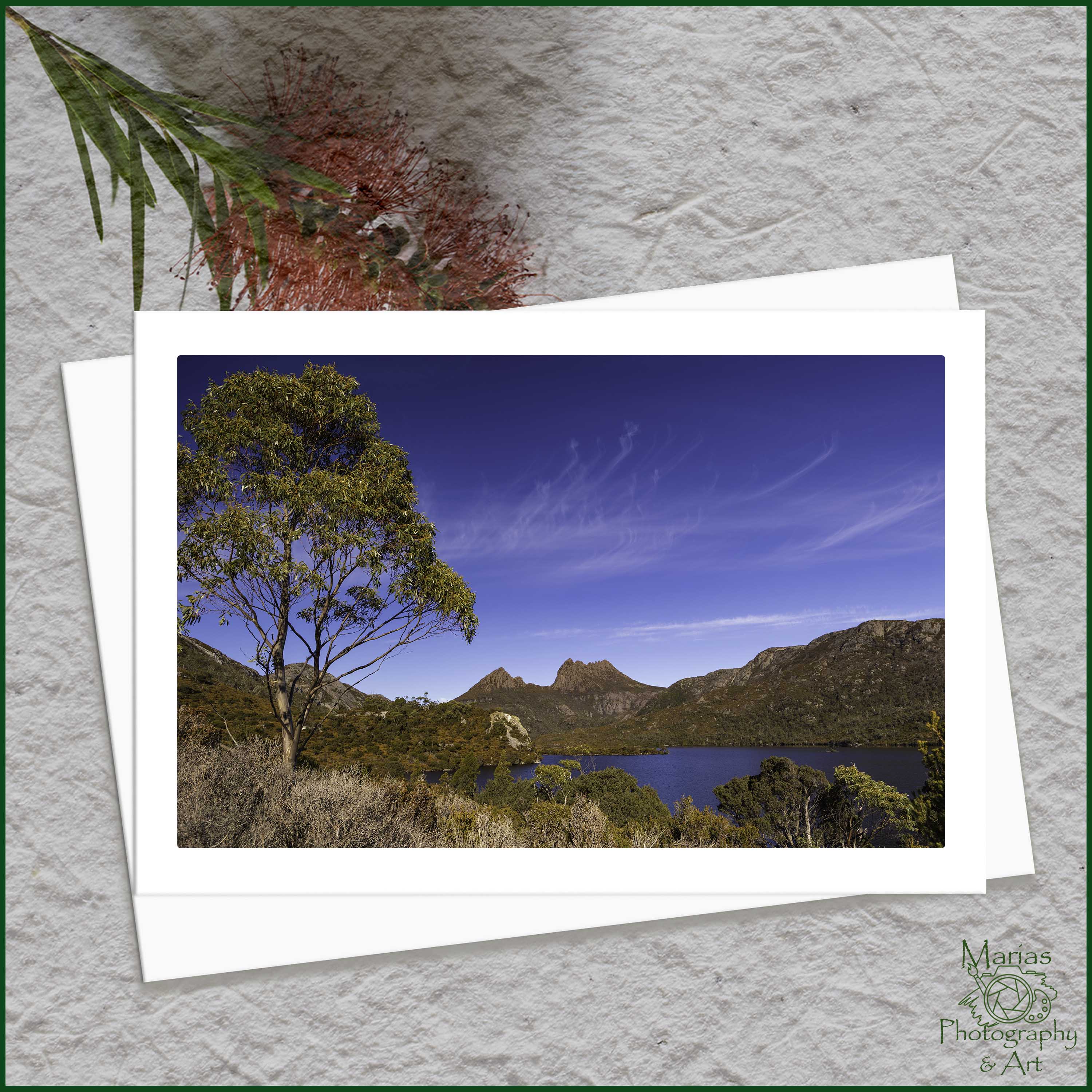 Blank Greeting Card - 'Wonders of Tasmania' series