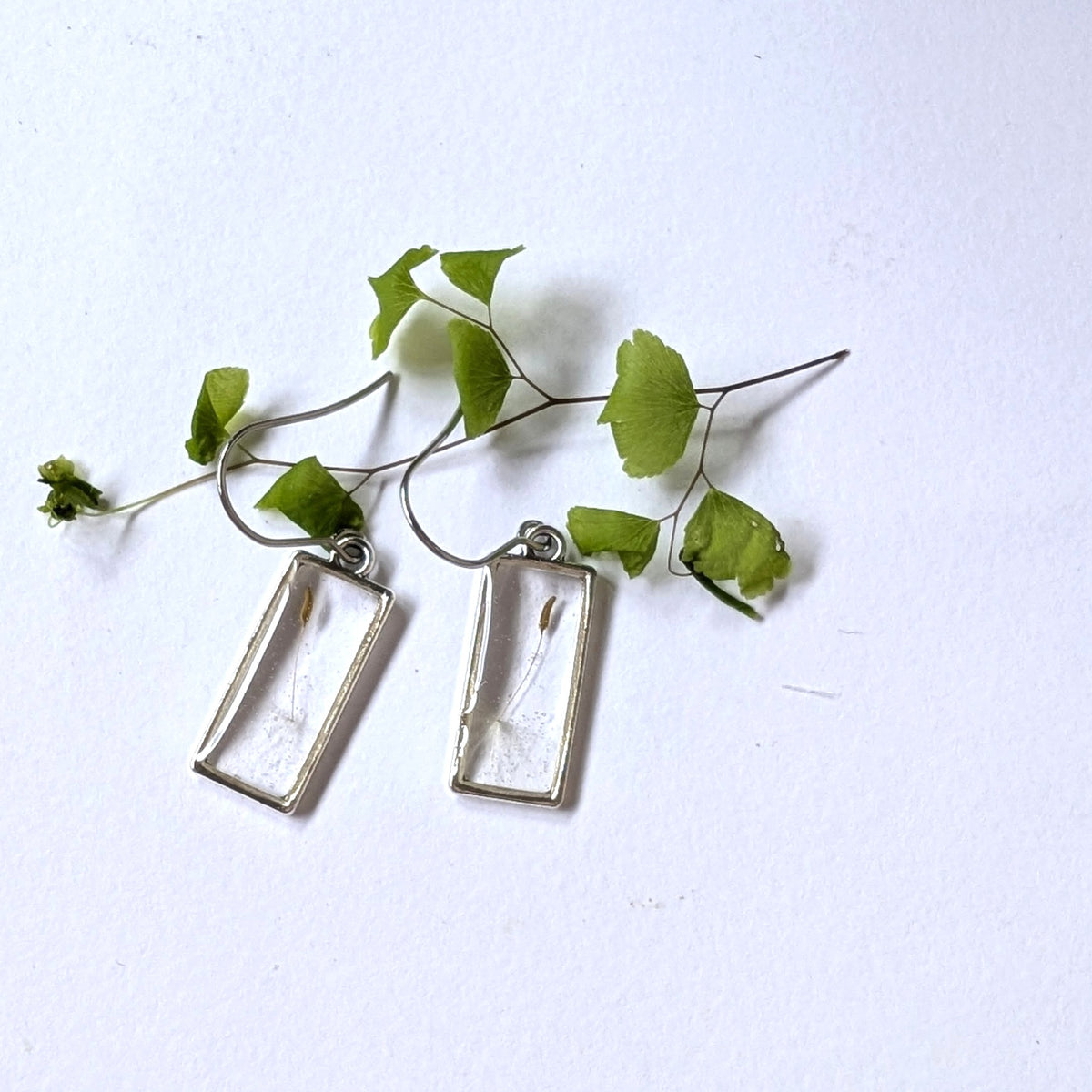 Real Dandelion Seed Rectangular Earrings
