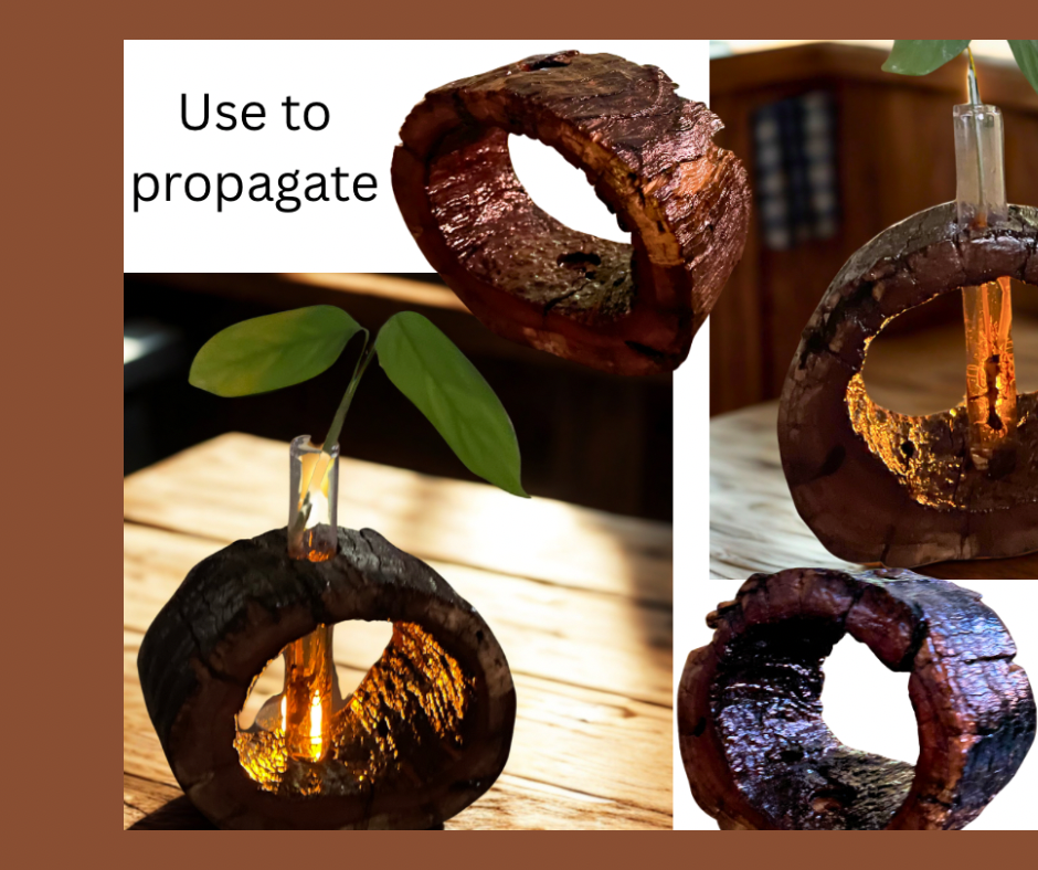 Rustic hardwood vase - full - test tube