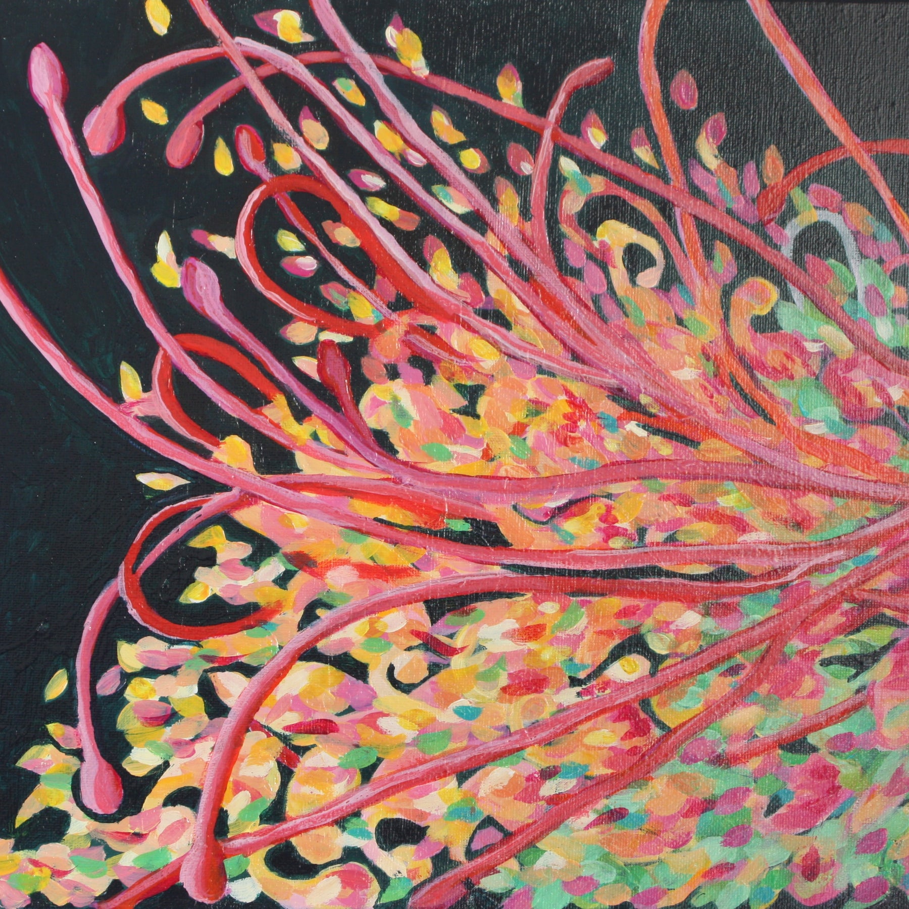 Grevillea Flow - Original Acrylic Painting Australian Native Grevillea