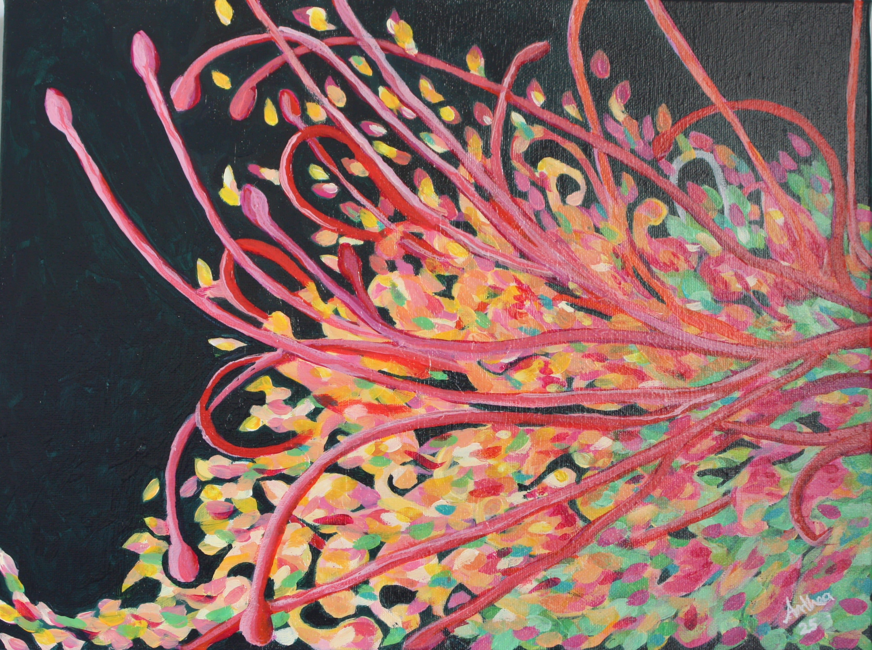 Grevillea Flow - Original Acrylic Painting Australian Native Grevillea