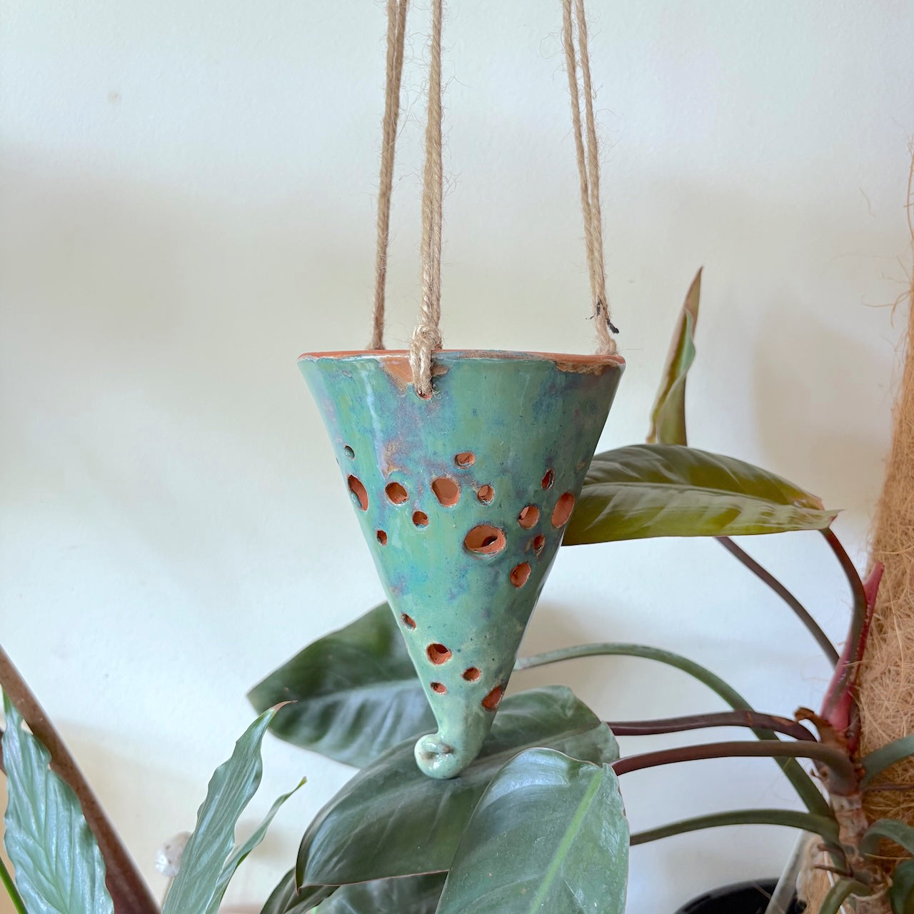 Ceramic hanging cone orchid pot