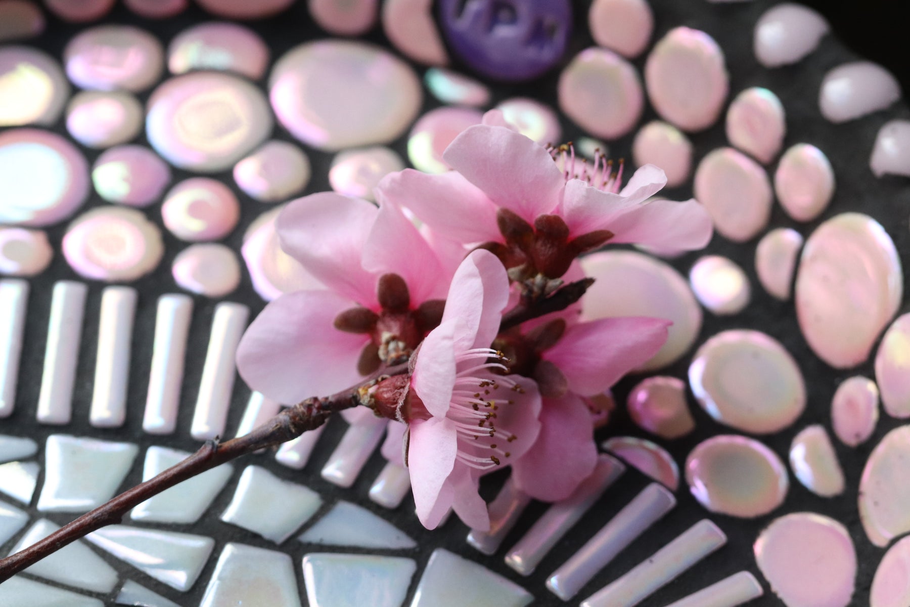 Mosaic Bee Bath. Pink.