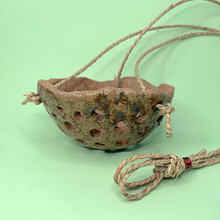 Ceramic dome hanging orchid pot