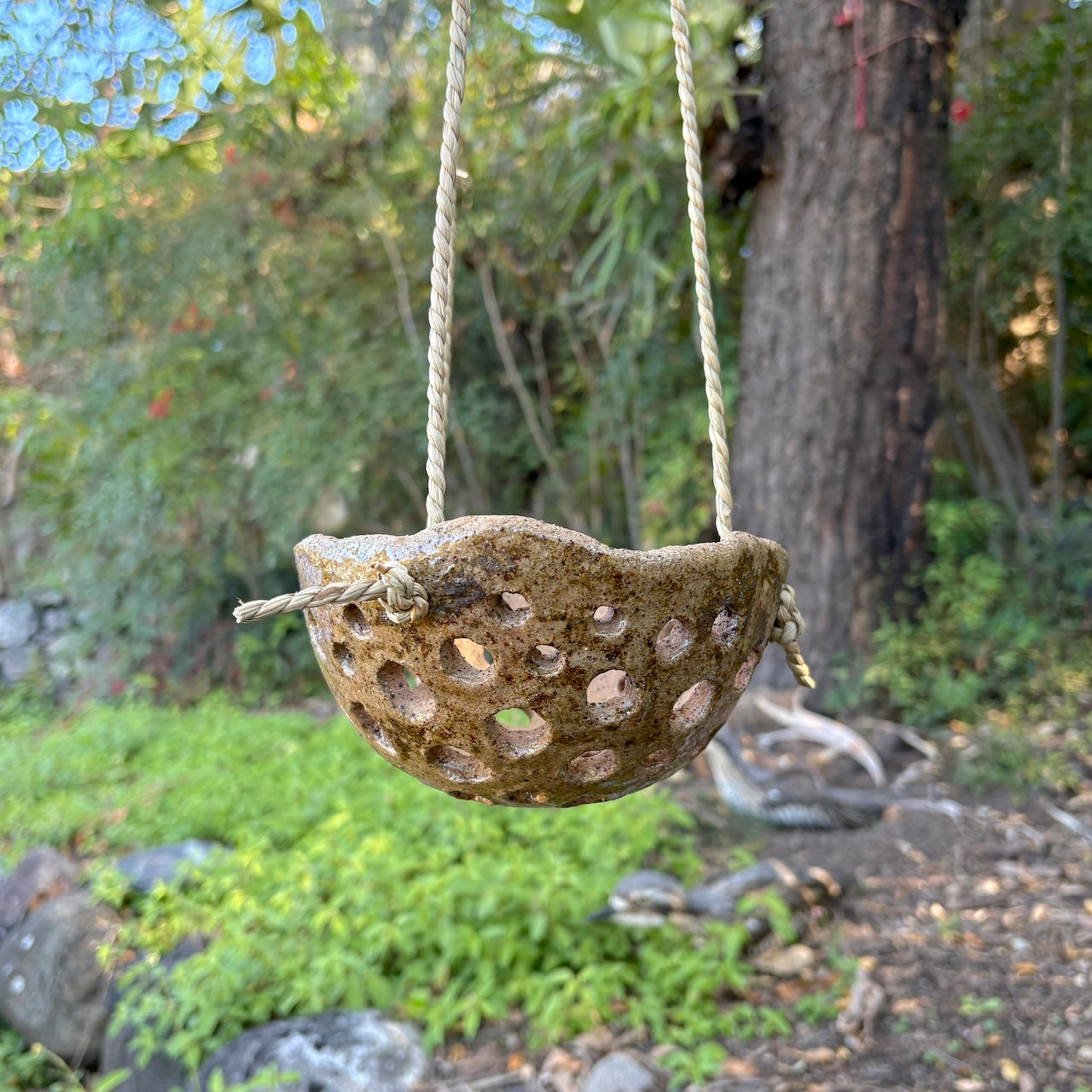 Ceramic dome hanging orchid pot