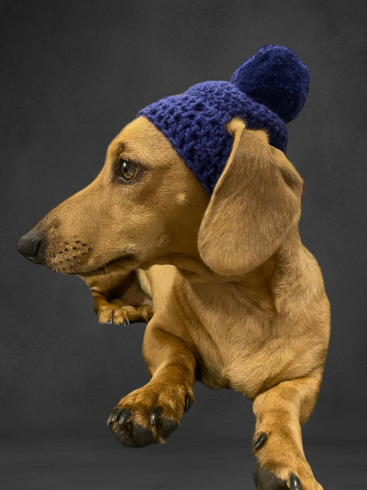 Dog Beanie/hat for Handmade Pet clothing/costume