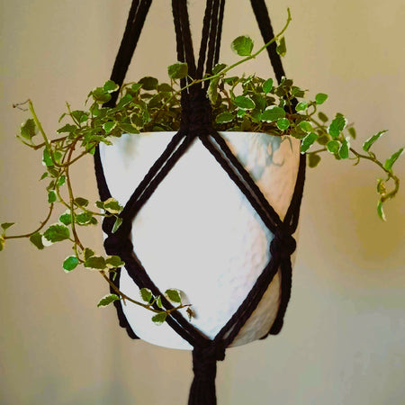 Macrame Plant Hanger - Black and Gold