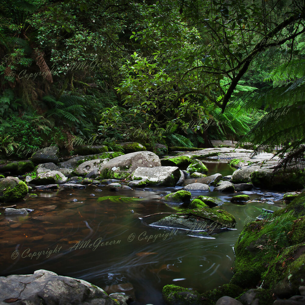9162-Otway-1024x1024-Watermark