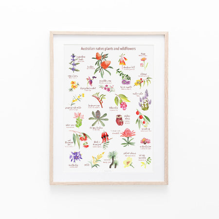 AUSTRALIAN NATIVE Birds print