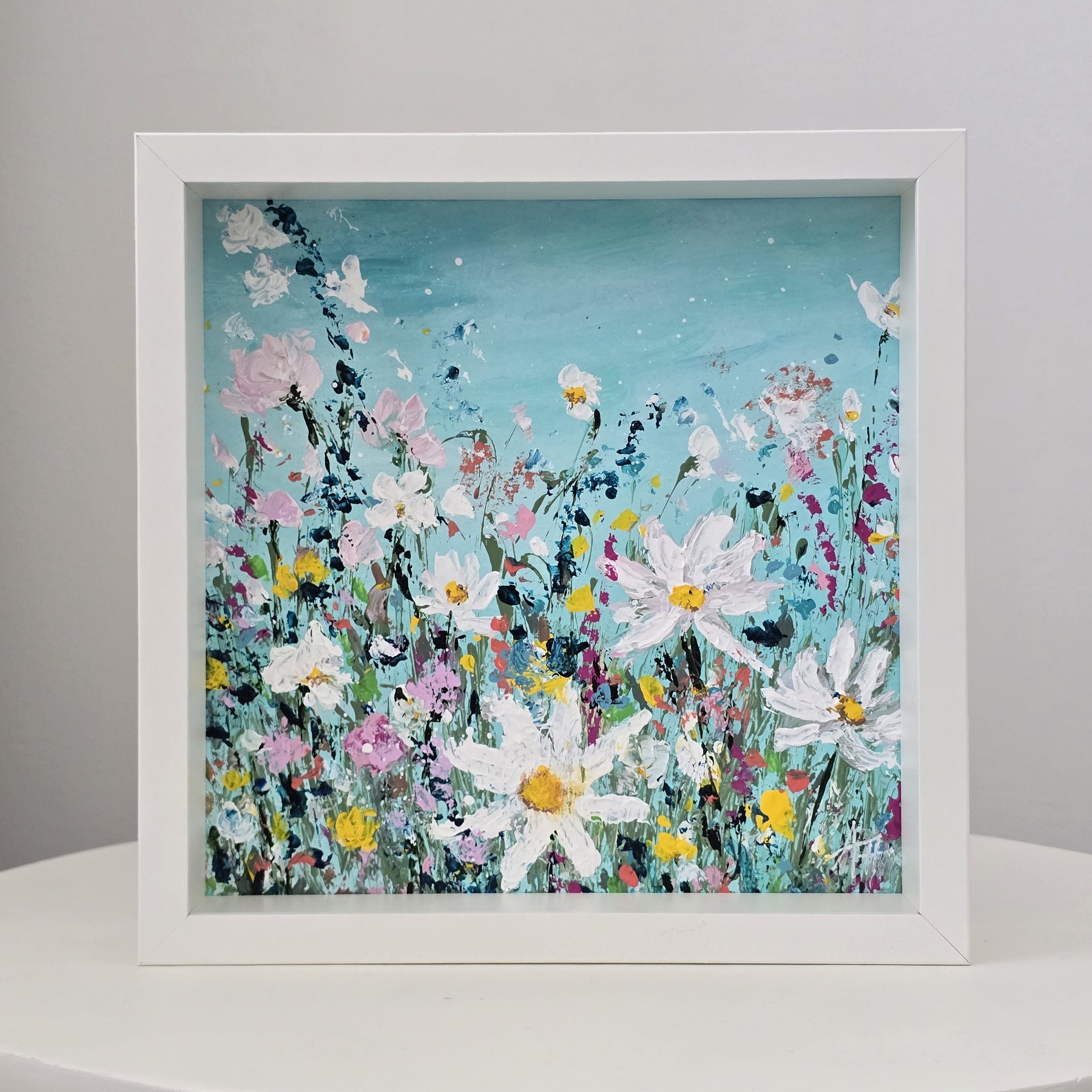 'Daisy Daydreams'