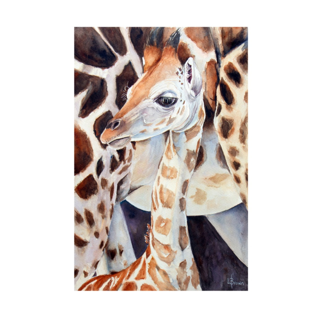 Giraffe Mother and Calf A3 Fine Art Print