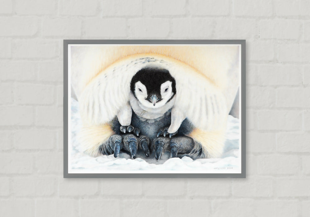 black-frame-hanging-from-wall-PENGUIN-WEB-1000x700