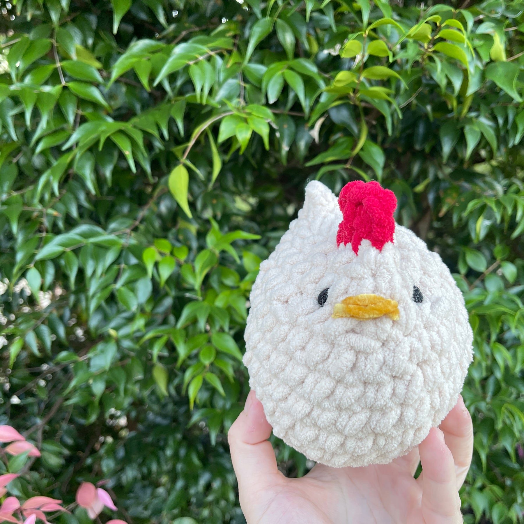 Large Mabel Chicken