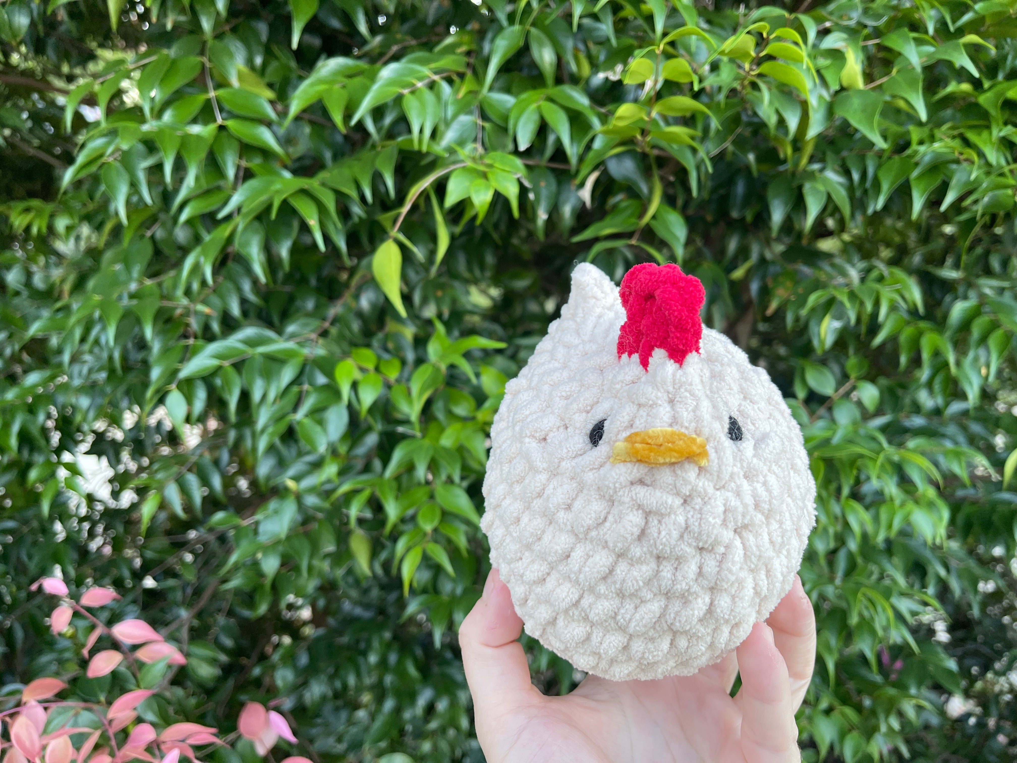 Large Mabel Chicken