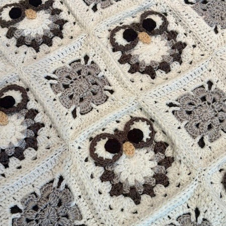 Baby Owl Blanket