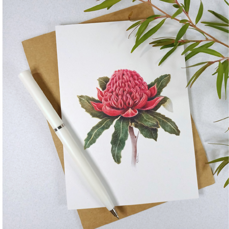 Blank Greeting Card - Waratah