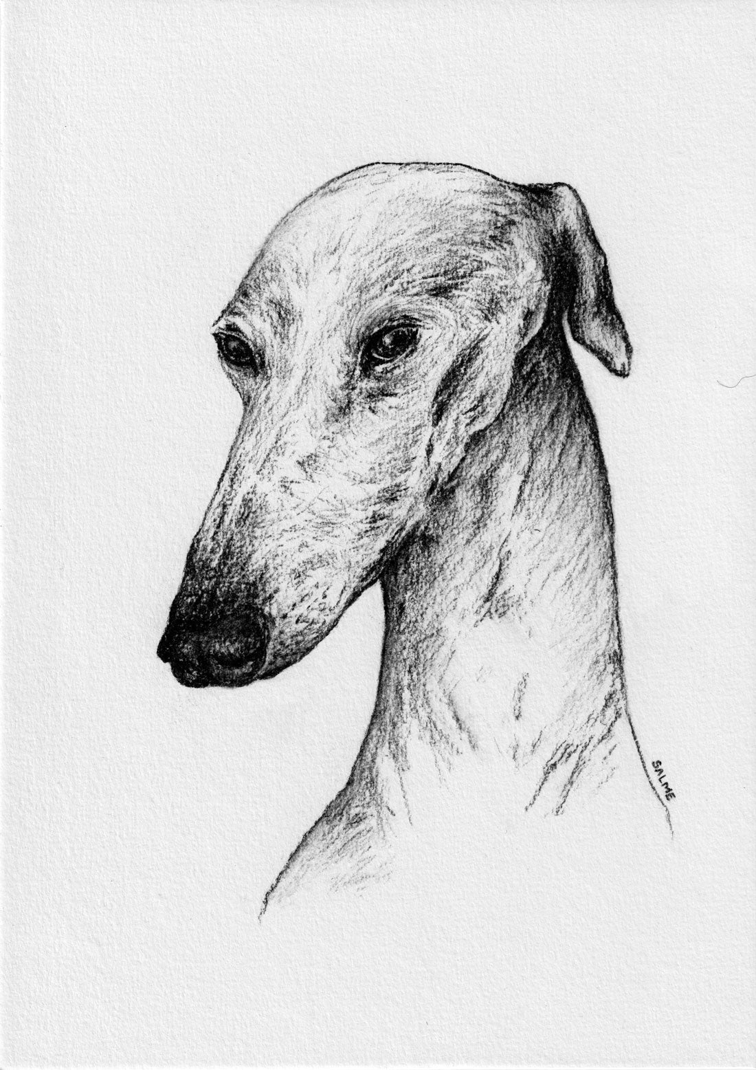 Greyhound | Hand Drawn Original Artwork