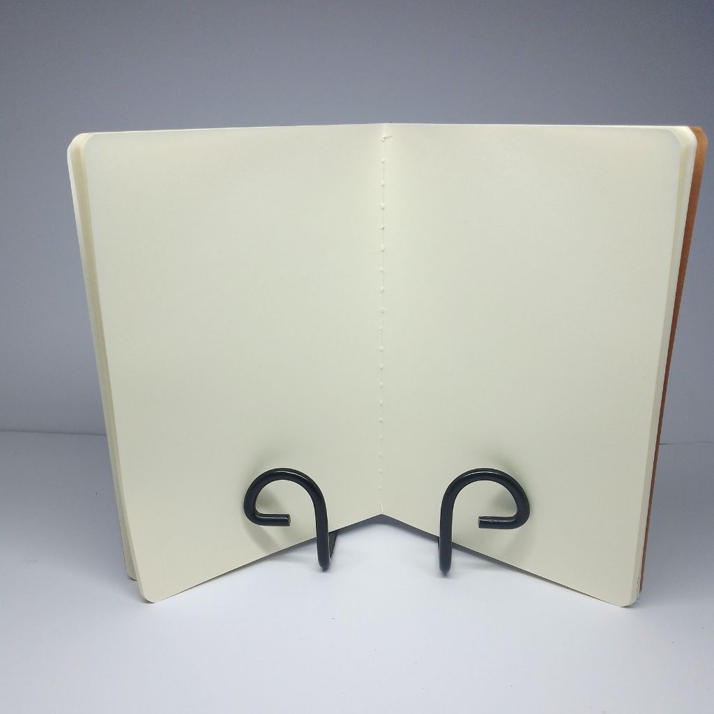 Whimsical Toadstool Handpainted Blank Notebook - Perfect gift