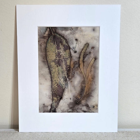 Whispering Gum ~ Original Artwork – Botanical Print & Watercolour