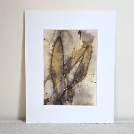 Ancient Gum - Original Artwork – Botanical Print & Watercolour