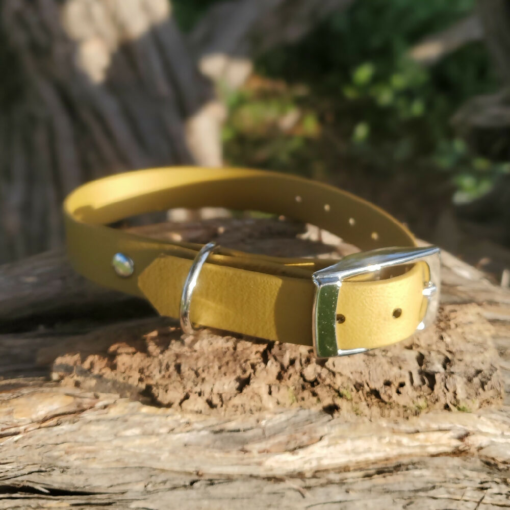 Waterproof dog collar - Light Colours