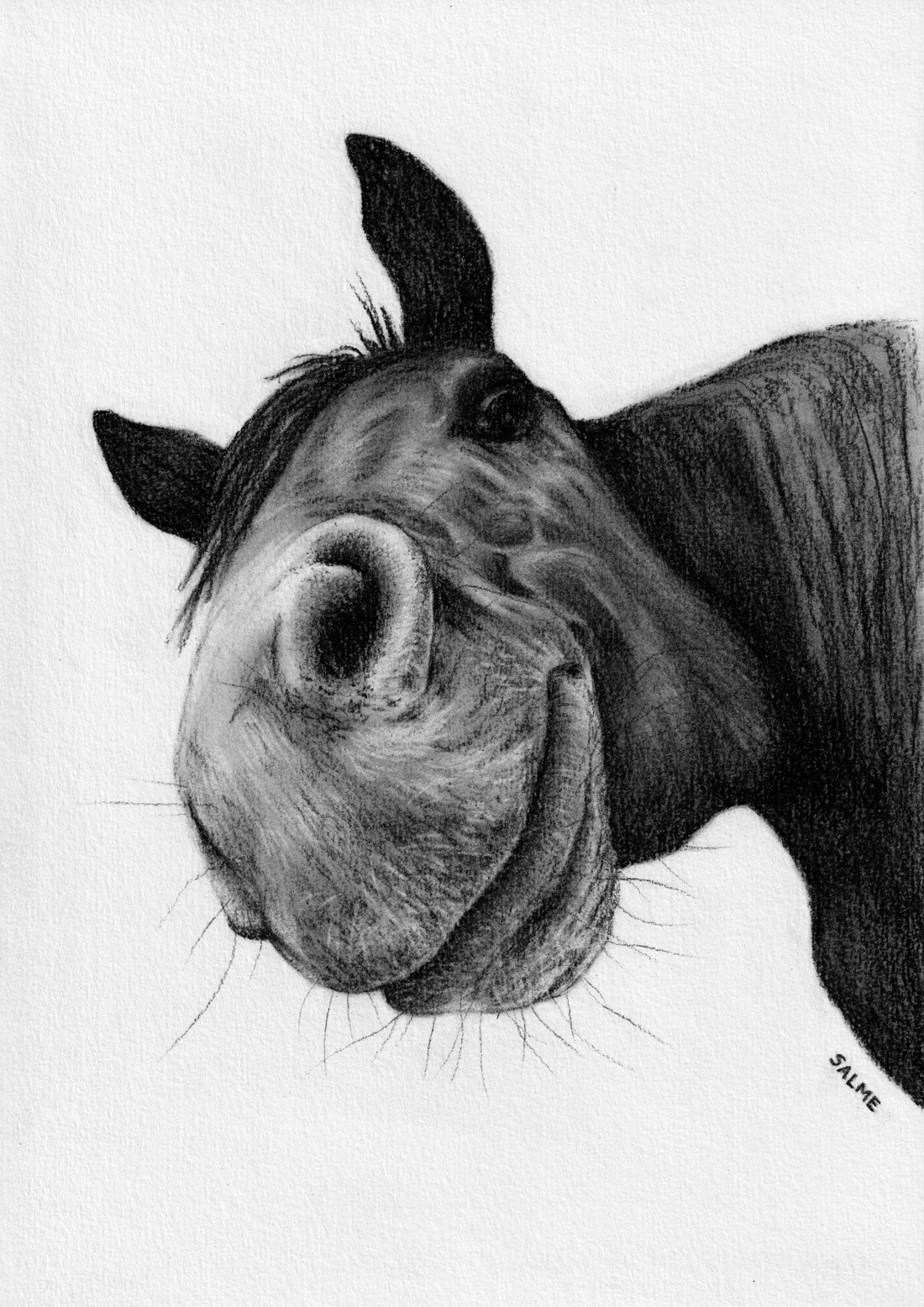 Horsing Around | Horse | Hand Drawn Original Artwork