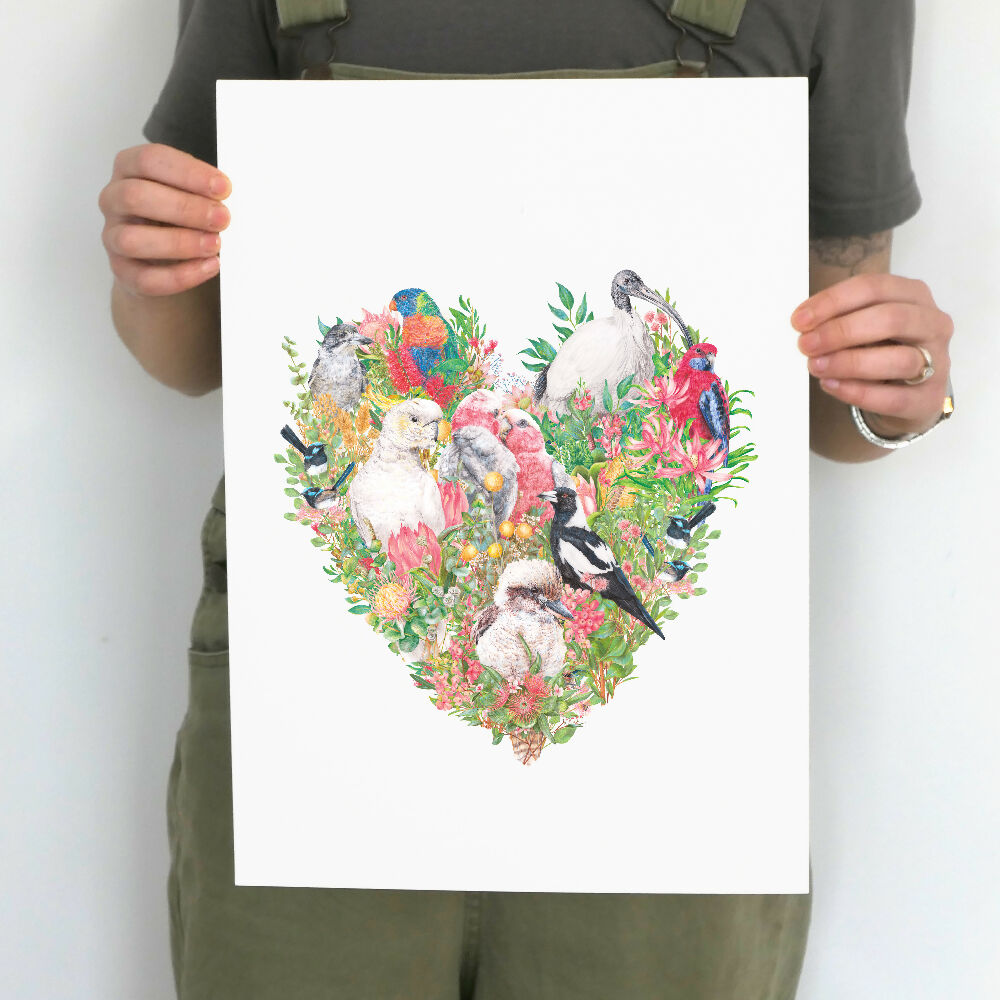 A3 art print of common native Australian birds and flowers, illustrated by Australian artist Kayla Reay.