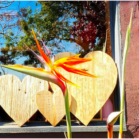 Recycled Hardwood Heart 11cms