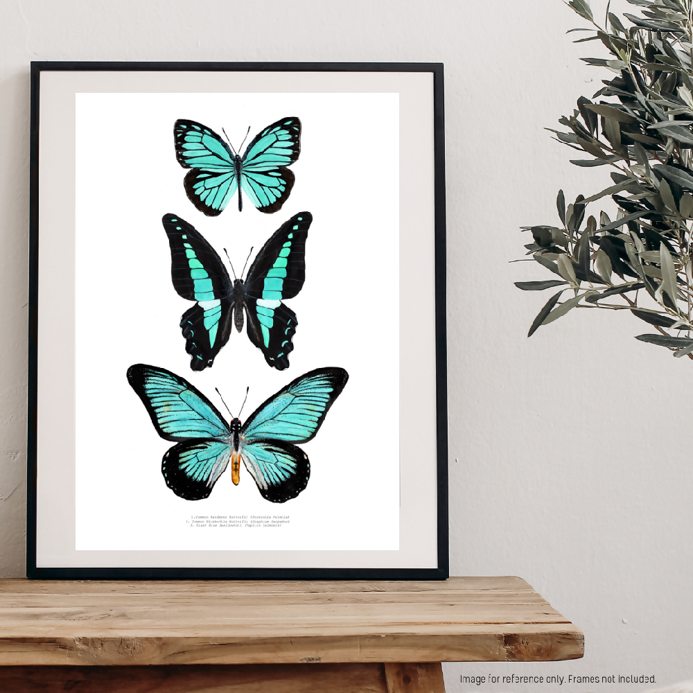 Watercolour Art Print - The Insect Series - 'Turquoise Butterfly Trio'