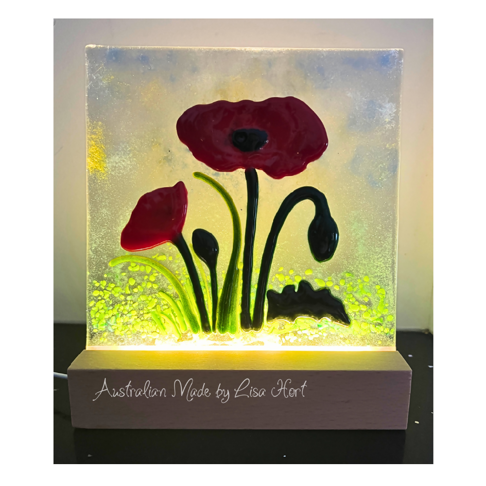 Fused Glass, Stunning Poppy Glass Panel