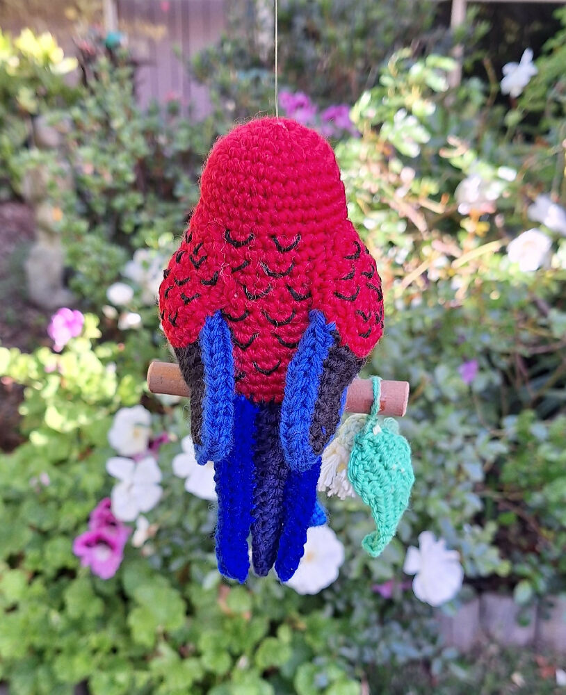 rosella rear view