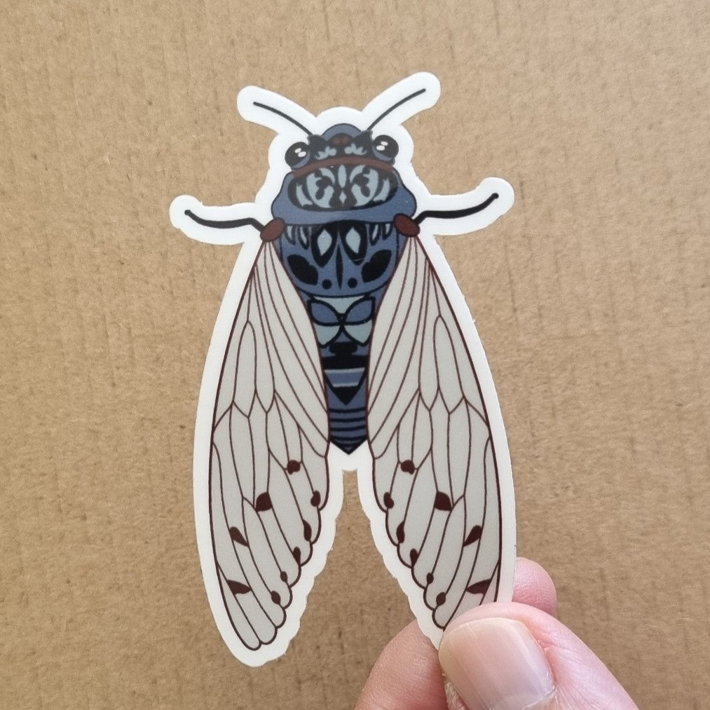 Dark Blue Cicada Bug Insect Sticker