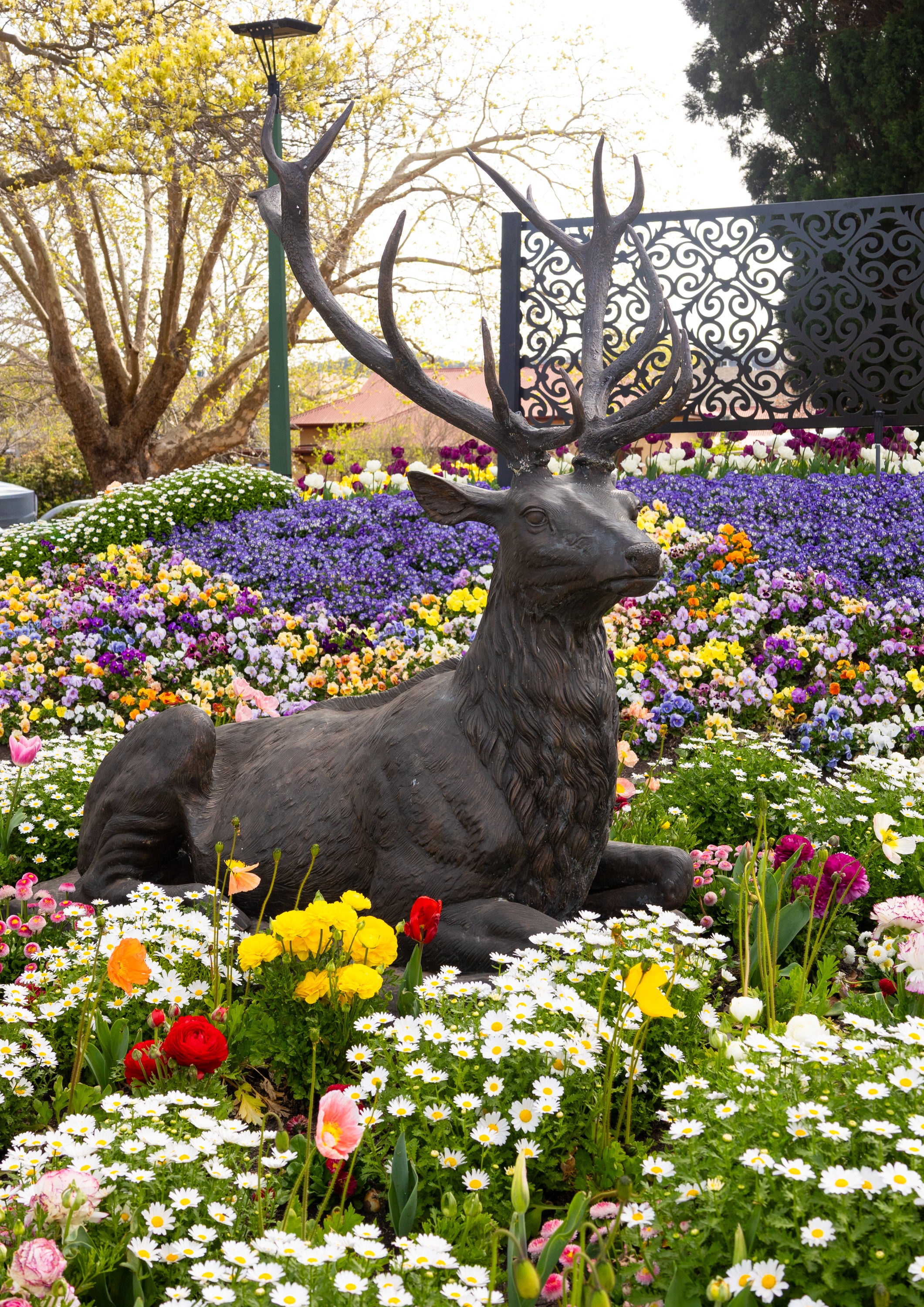 Photographic Print | Wall Art | Flowers