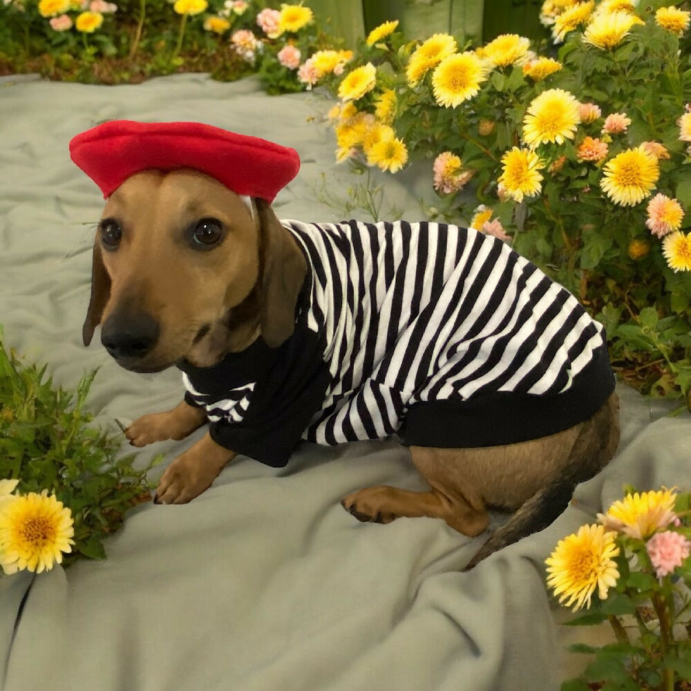 black and white striped tshirt 1